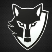 Black Wolf Security Logo